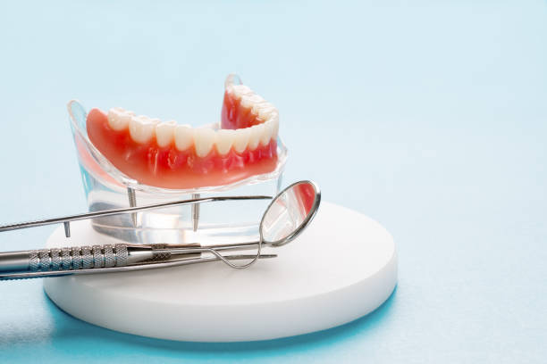  Elwood, IL Holistic Dental Services Pros